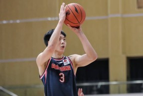 王者在线入口 -赛前CBA季后赛焦点战，托特纳姆止住颓势，质疑声仍在，赛季目标并未改变的简单介绍